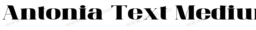 Antonia Text Medium字体转换